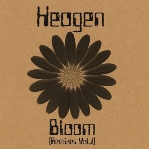 Heogen Data Bloow Remixes Vol 1