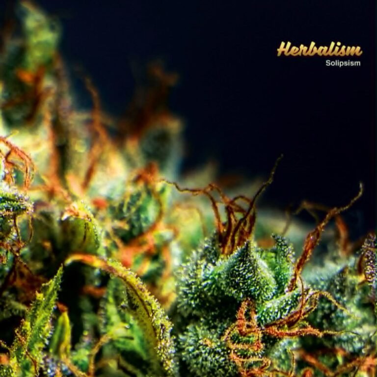 Solipsism-Herbalism-Cover-Artwork