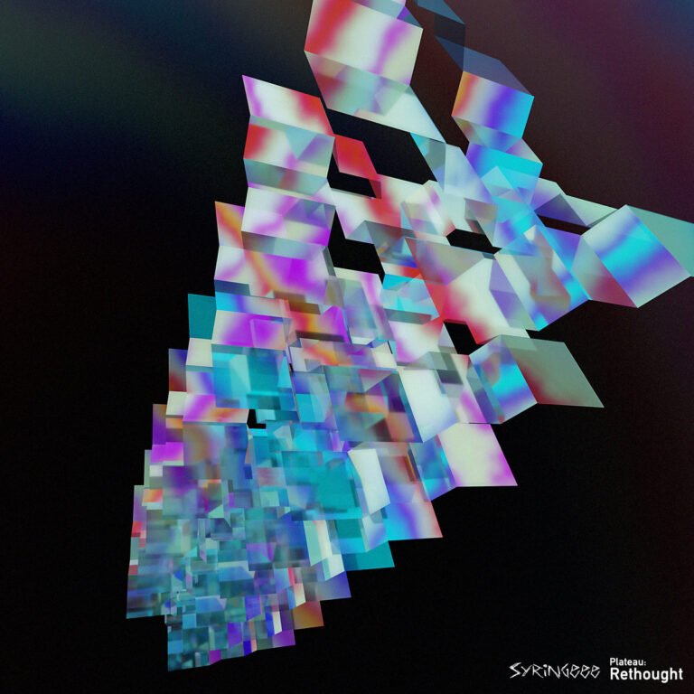 syringeee - Plateau: Rethought (Weirdrum Records)