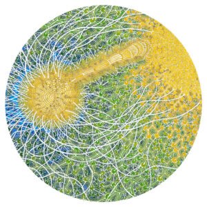 Max Cooper - Feeling Is Structure - Album Cover Artwork