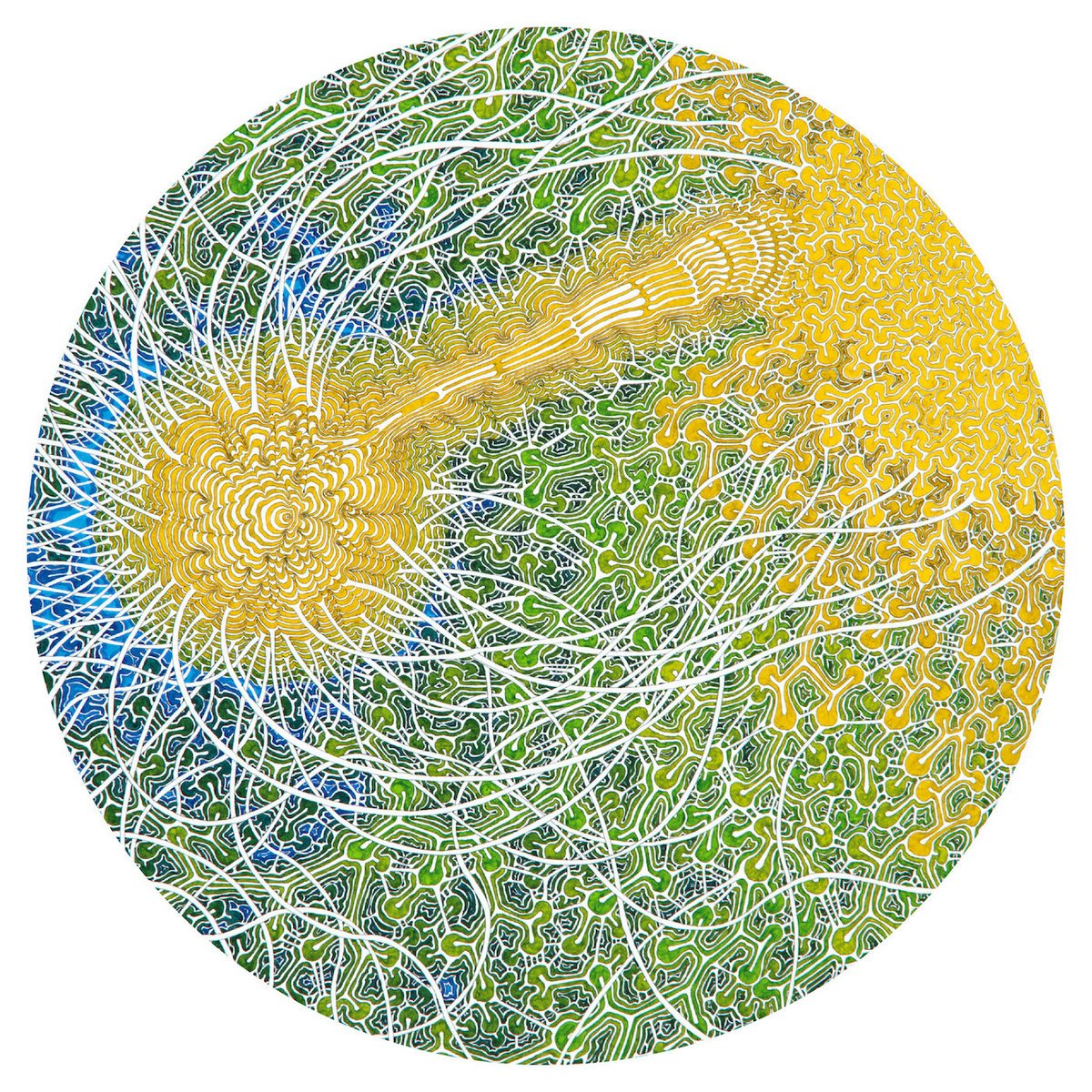 Max Cooper - Feeling Is Structure - Album Cover Artwork