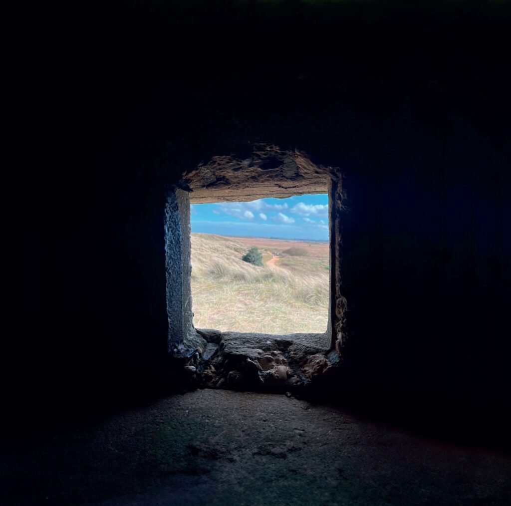 Natterjack - Horsey Gap (POSITIVLAND) - ALBUM COVER ARTWORK