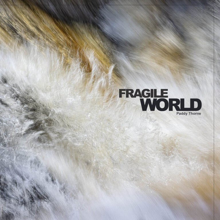 Paddy Thorne - Fragile World