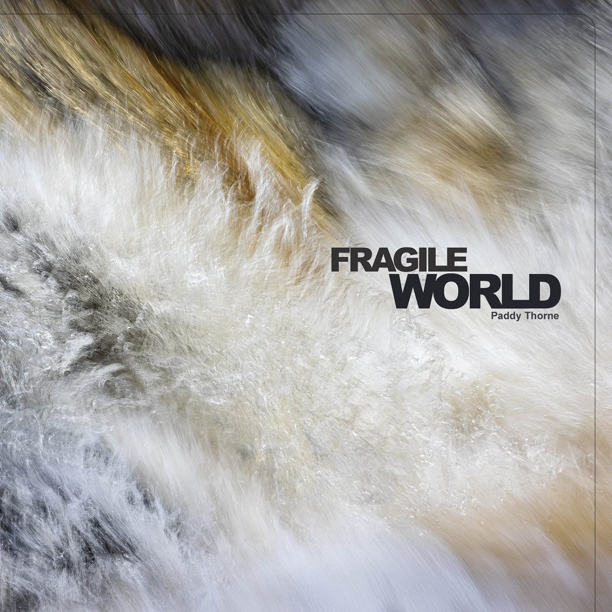 Paddy Thorne - Fragile World