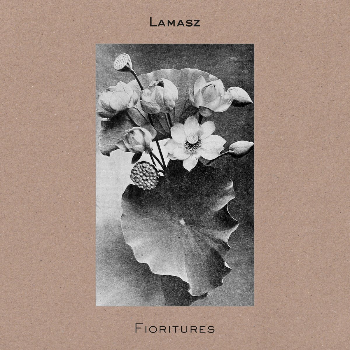Lamasz - Fioritures
